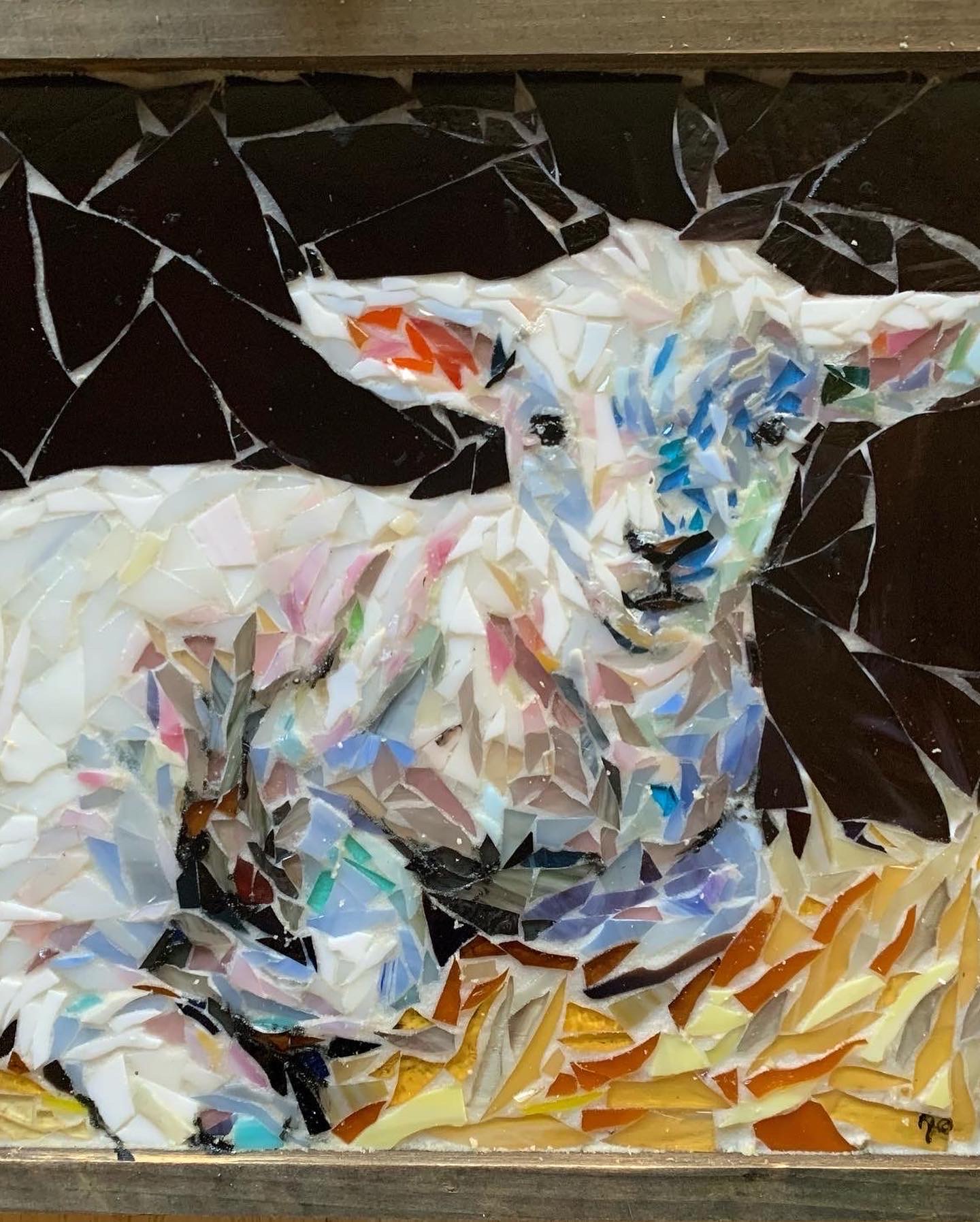 Joylnn Forman